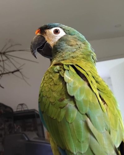 76b055c2-8d03-4cd6-9be4-5699b29e169c