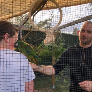 b07faf1c-ffab-471f-95f3-0a3f8d76b1e8